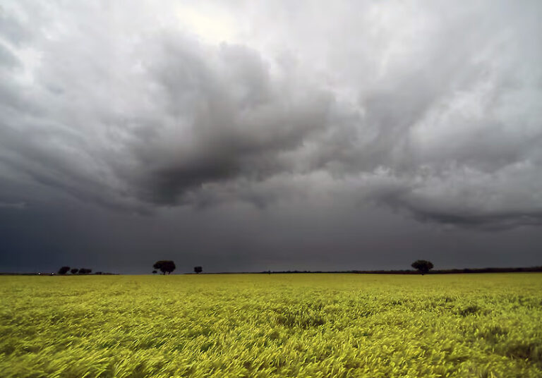 Se mantiene el alerta amarillo por lluvias y tormentas fuertes para Chaco y Corrientes