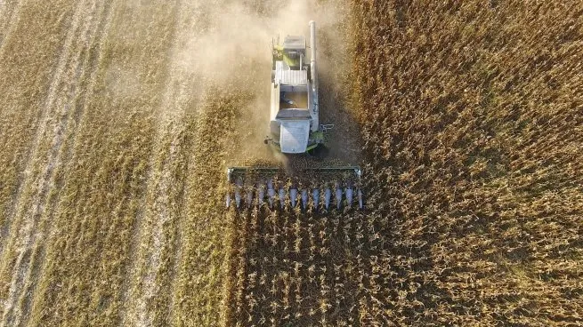 Alerta en el campo por el calor extremo: la soja y el maíz soportarán 48 horas críticas