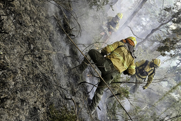 «Una bola de fuego», dijo el Intendente Bruno Pogliano sobre el incendio