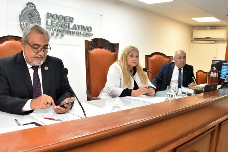 La Legislatura ratificó la prórroga de la Emergencia Económica y Financiera de Chaco