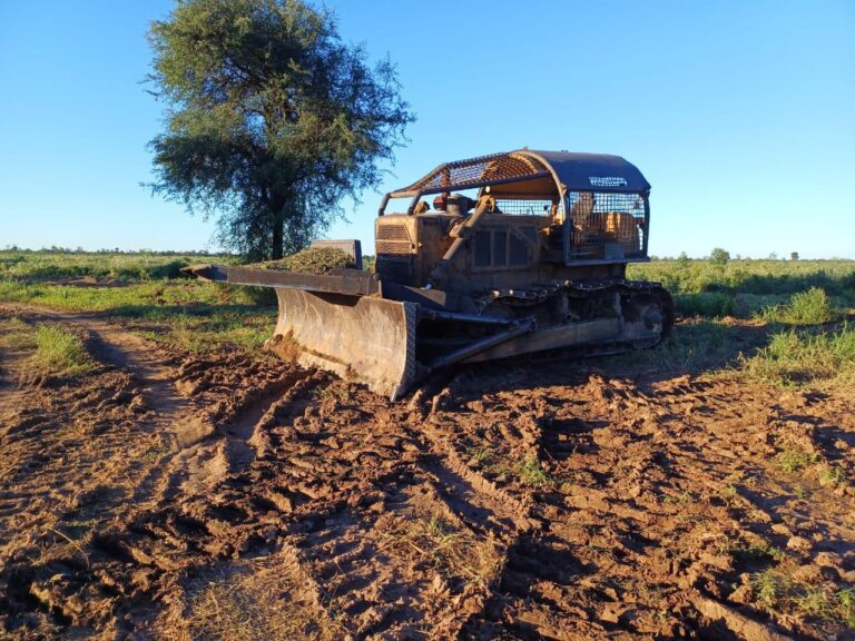 PRIMEROS RESULTADOS DE LAS CAMIONETAS