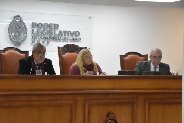 La Legislatura aprobó la emergencia en salud mental en Chaco