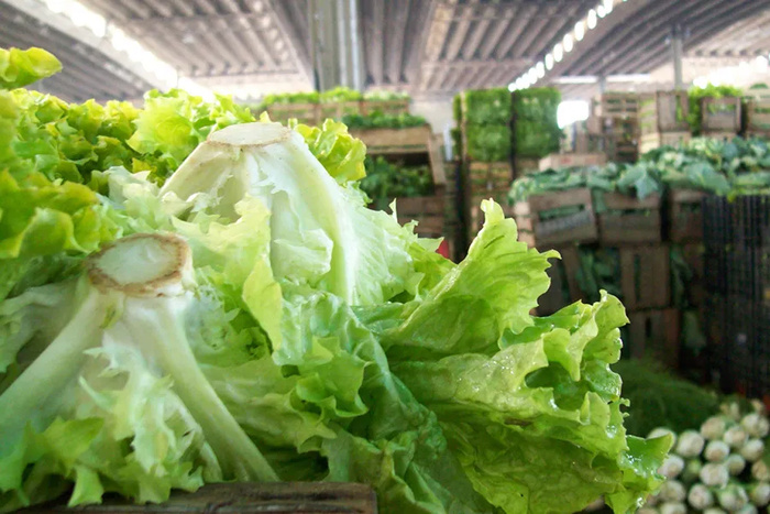 La inflación de mayo fue del 1,5 por ciento