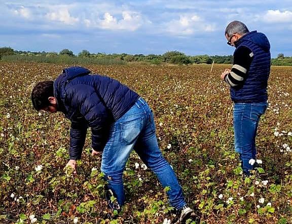 AHORA MÁS CAMPO