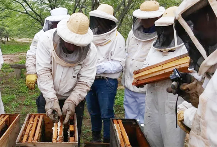 Preparan la 2ª Fiesta de la Miel Centrochaqueña en Sáenz Peña
