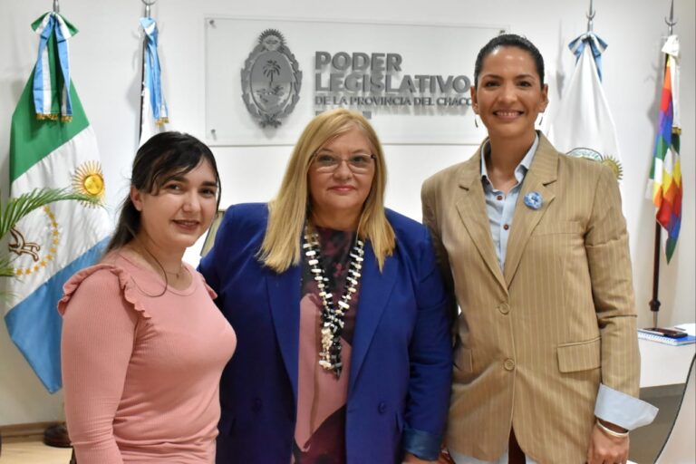 Delgado recibió a representantes de la Sociedad Argentina de Pediatría-Filial Chaco