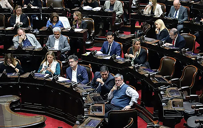 Diputados contra la motosierra