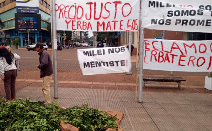 Genocidio yerbatero: reclaman al gobernador de Misiones que declare en “emergencia” al sector