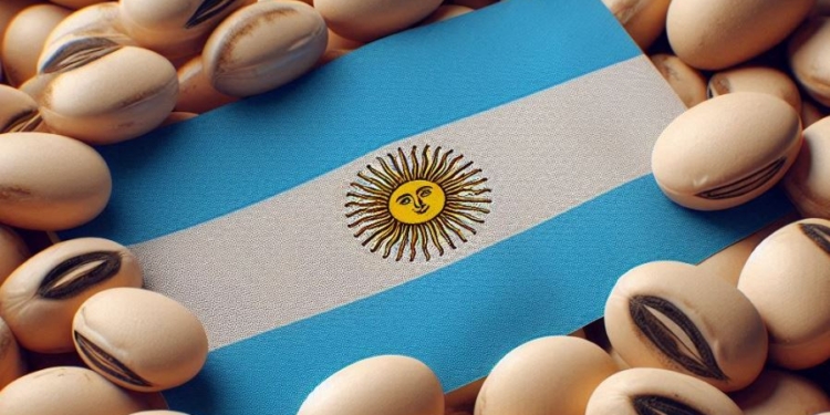 Argentina va al descenso