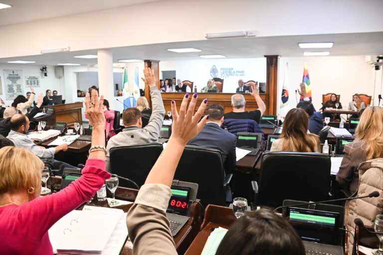 La Cámara de Diputados del Chaco inició el segundo semestre con la aprobación de importantes iniciativas legislativas