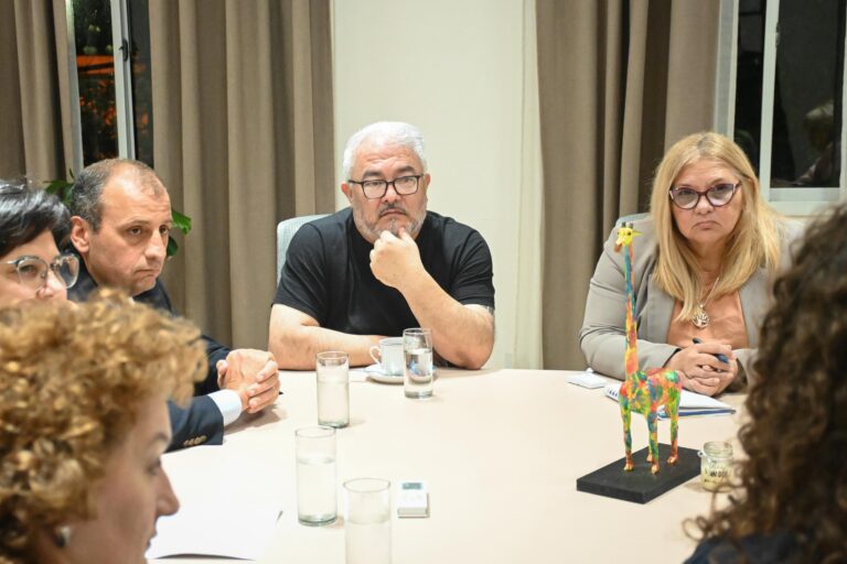 La Legislatura recibió a especialistas en lactancia y nutricionistas por la regulación de la puericultura