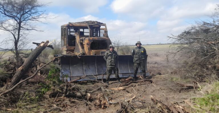 BOSQUES: SECUESTRAN MAQUINARIA Y CARGAMENTO ILEGAL DE QUEBRACHO COLORADO