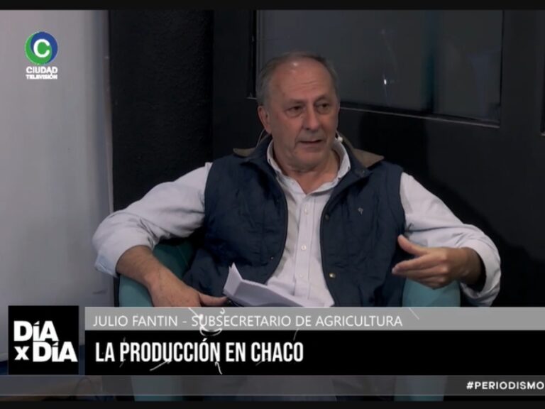 “Estamos acompañando al productor para que pueda recuperarse”, afirmó el subsecretario de Agricultura del Chaco
