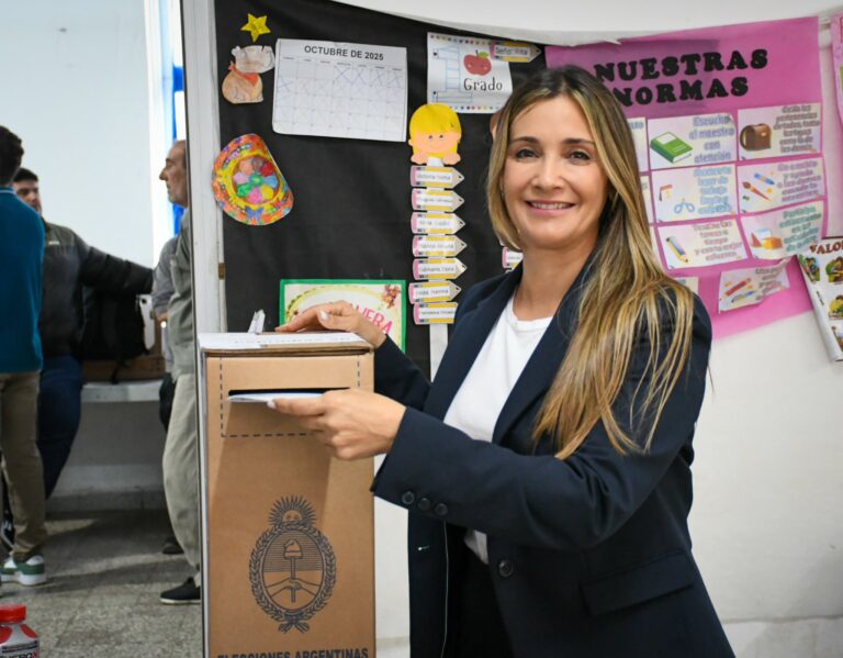 Elecciones legislativas 2025