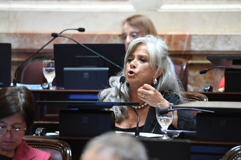 SENADORES DE FUERZA PATRIA REPUDIAN LA REPRESIÓN EN EL IMPENETRABLE CHAQUEÑO