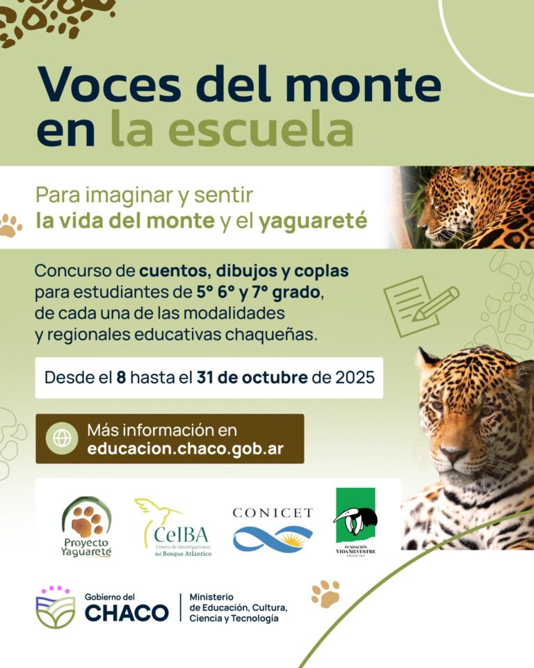 LANZAN CONCURSO ESCOLAR PARA CREAR DIBUJOS