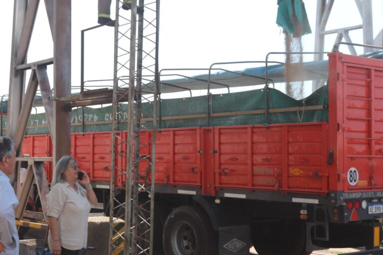EXPORTACIÓN DE TRIGO A BOLIVIA