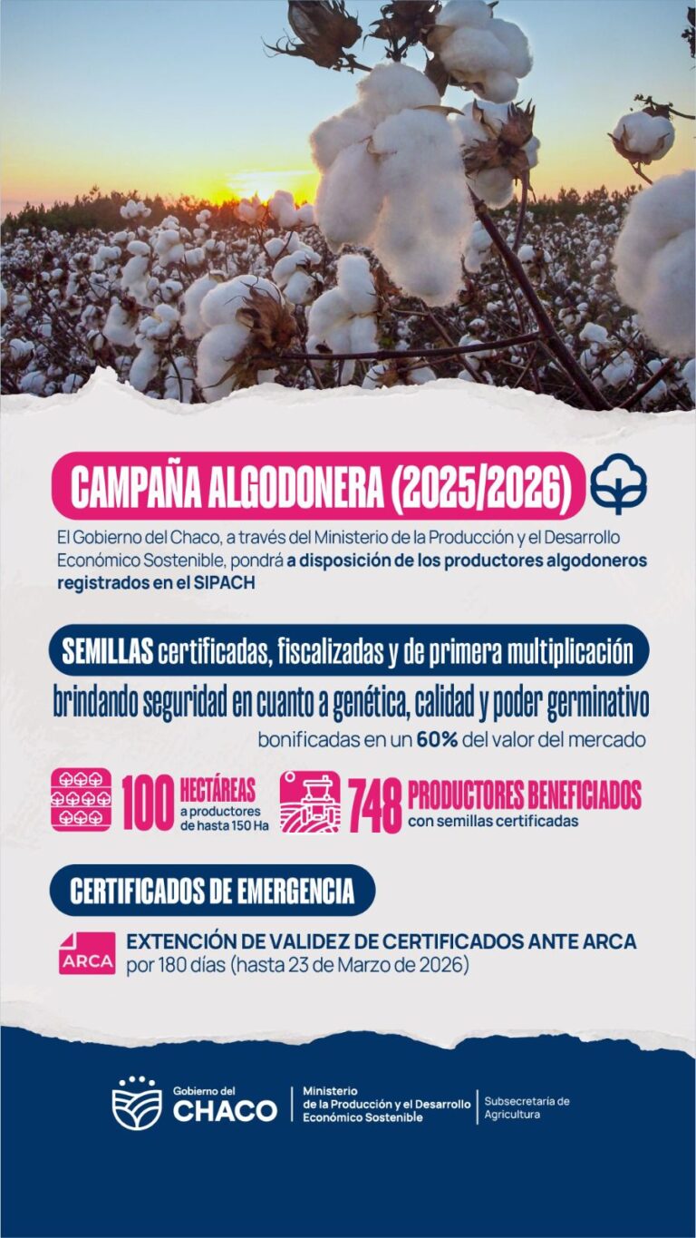 EL GOBIERNO DEL CHACO IMPULSA LA SIEMBRA ALGODONERA