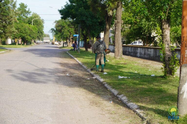 MUNICIPALIDAD DE PRESIDENCIA DE LA PLAZA