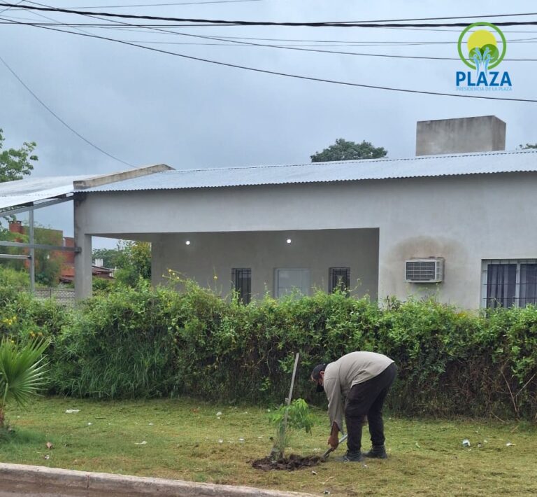 MUNICIPALIDAD DE PRESIDENCIA DE LA PLAZA