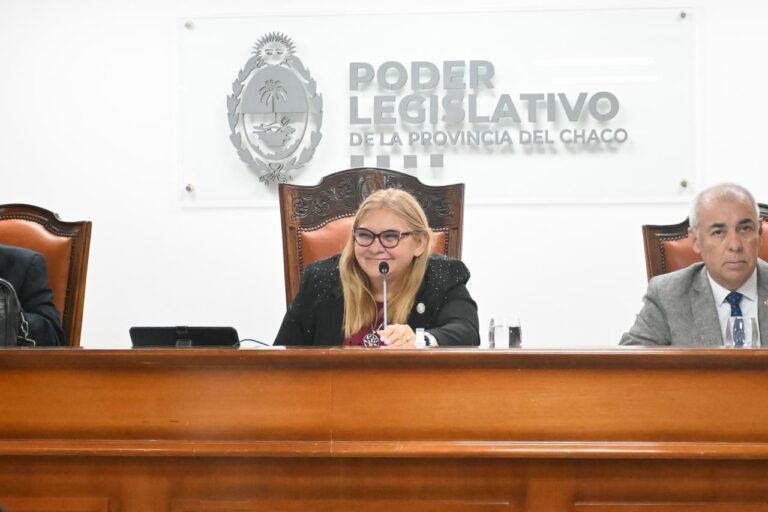 La Legislatura cerró el año con un paquete de leyes clave y la despedida de 16 diputados