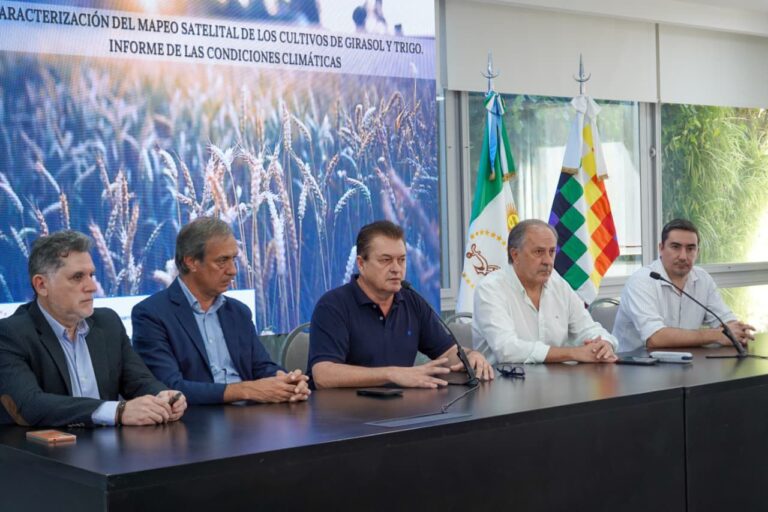 EL GOBIERNO PROVINCIAL PRESENTÓ DATOS OFICIALES SOBRE LA SIEMBRA DE TRIGO Y GIRASOL