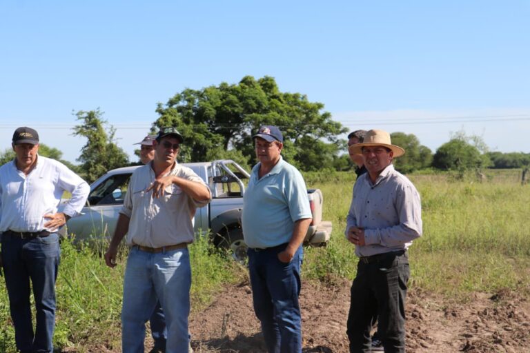 PRESIDENCIA ROCA PRODUCE 80 HECTÁREAS DE BATATA