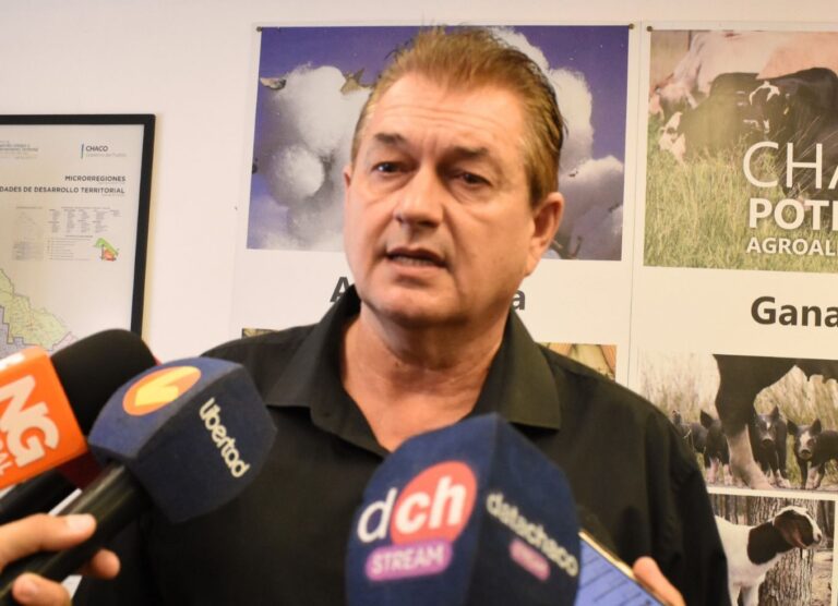 DUDIK ADVIERTE QUE LA CAUTELAR DEJA AL CHACO SIN UN MARCO LEGAL