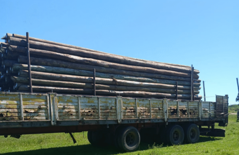 COOPERATIVA DE ELECTRIFICACIÓN RURAL «LAS COLONIAS» LTDA.