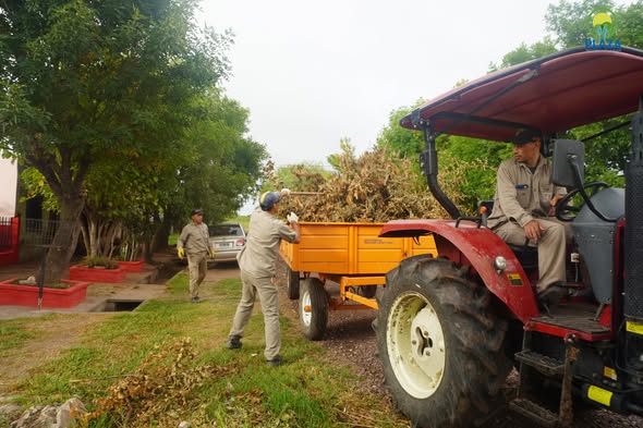 MUNICIPALIDAD DE PRESIDENCIA DE LA PLAZA
