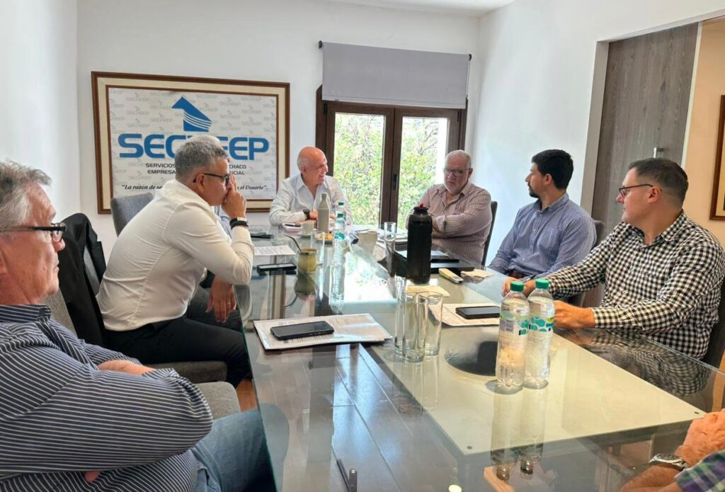 CHACO, CORRIENTES Y FORMOSA PEDIRÁN A NACIÓN EXTENDER EL SUBSIDIO ELÉCTRICO HASTA MARZO