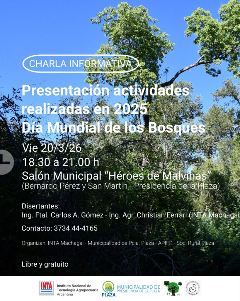 MUNICIPALIDAD DE PRESIDENCIA DE LA PLAZA