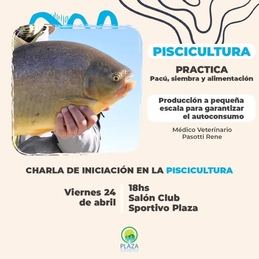 MUNICIPALIDAD DE PRESIDENCIA DE LA PLAZA