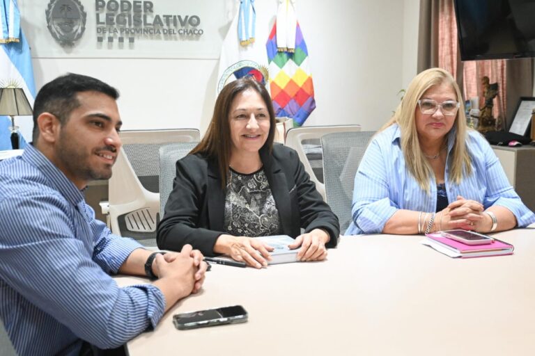 La presidente del Poder Legislativo recibió a representantes de la Comisión de Mesón de Fierro