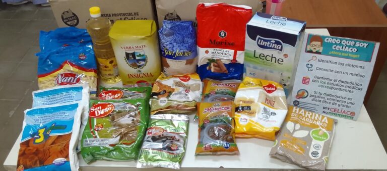 ENTREGA DE MODULOS UPSN EN EL HOSPITAL «DR TOMAS AMIGO» PRESIDENCIA DE LA PLAZA