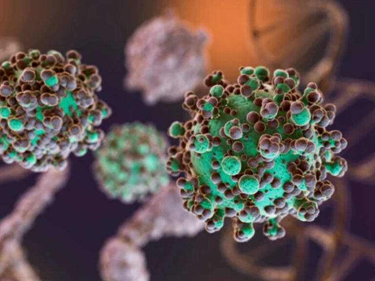 Hantavirus: se identificaron 3 nuevos casos en Argentina