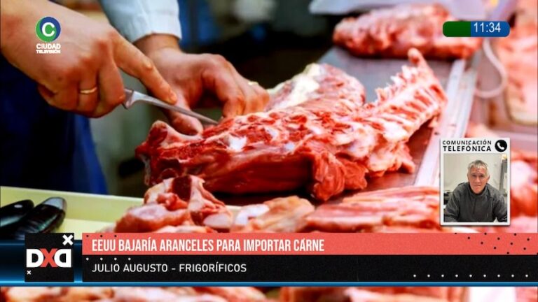 Advierten sobre el consumo de carne y el posible impacto de exportaciones