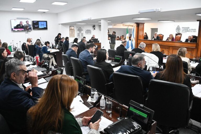 El Poder Legislativo aceptó la renuncia de Delgado al Consejo de la Magistratura y designó a Gómez y With