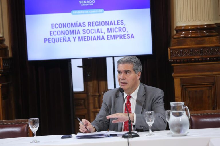 Jorge Capitanich fue designado presidente de la Comisión de Economías Regionales del Senado