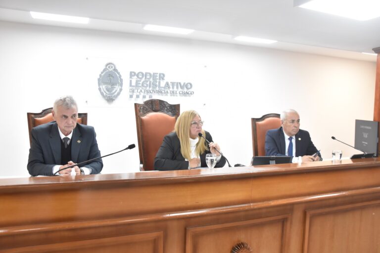 Diputados llevaron adelante la séptima sesión ordinaria del año