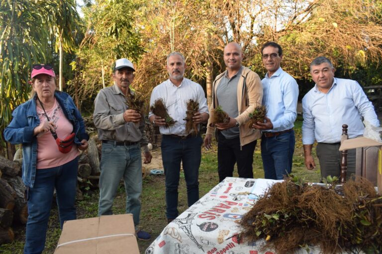 PROGRAMA “ÑANDE” EN TERRITORIO