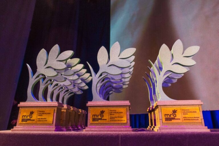 5° Edición De Los Premios Lía Encalada: Postulaciones Abiertas