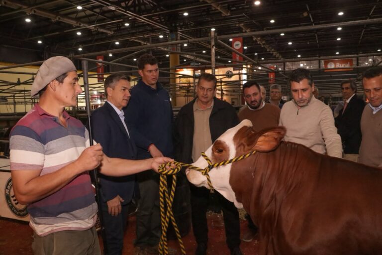 GANADERÍA, PRODUCCIÓN Y EXPORTACIÓN: CHACO MUESTRA SU CRECIMIENTO EN LA EXPO RURAL DE PALERMO