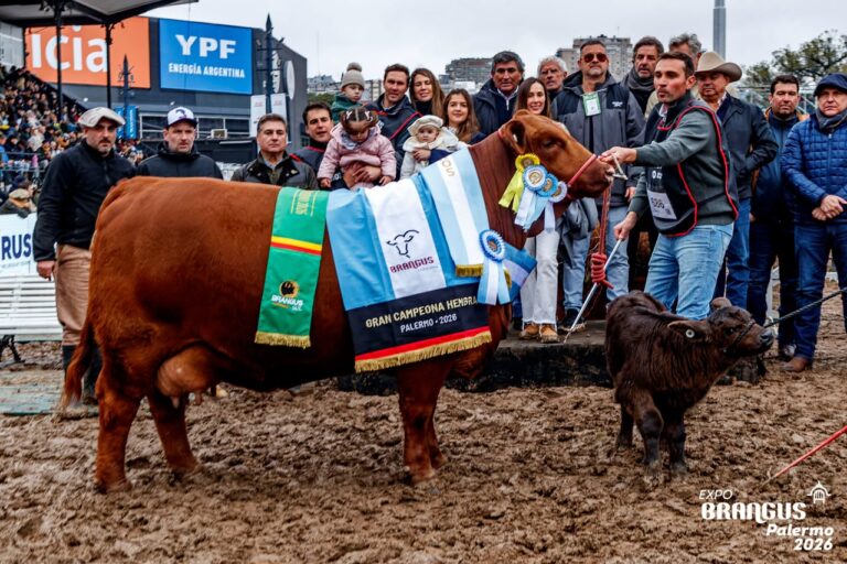 ORGULLO CHAQUEÑO EN PALERMO: CABAÑAS DE LA PROVINCIA BRILLARON EN LA EXPOSICIÓN RURAL CON IMPORTANTES PREMIOS