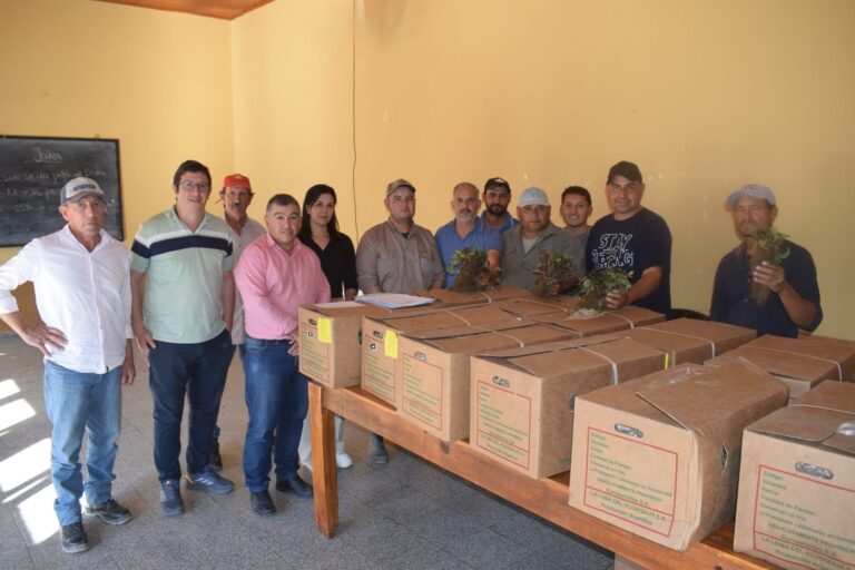 PRODUCCIÓN: LAS PRIMERAS FRUTILLAS DEL PROGRAMA ÑANDE