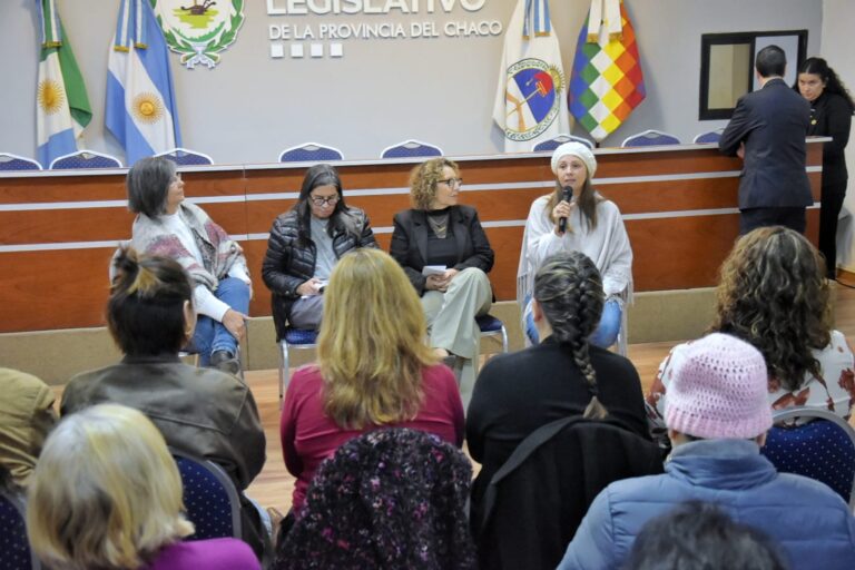 El Poder Legislativo fue sede de la presentación de la quinta edición del Premio “Lía Encalada”