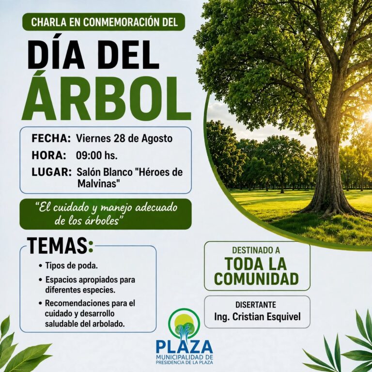 MUNICIPALIDAD DE PRESIDENCIA DE LA PLAZA