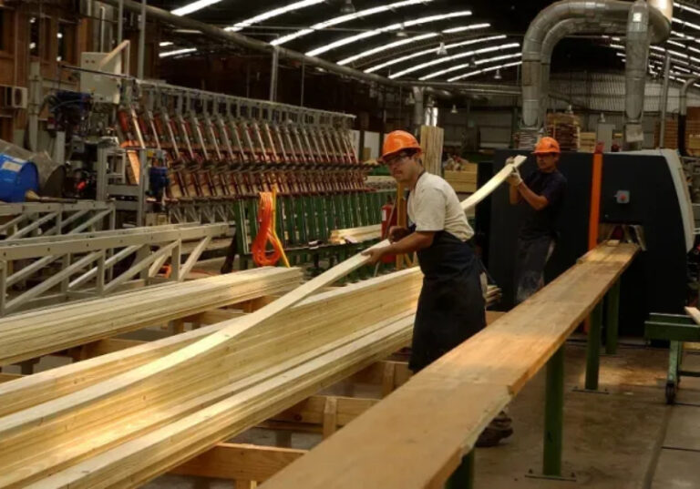 La industria maderera advirtió que “el margen se está agotando” para las pymes del sector