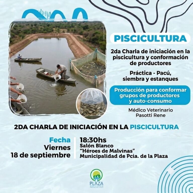 MUNICIPALIDAD DE PRESIDENCIA DE LA PLAZA