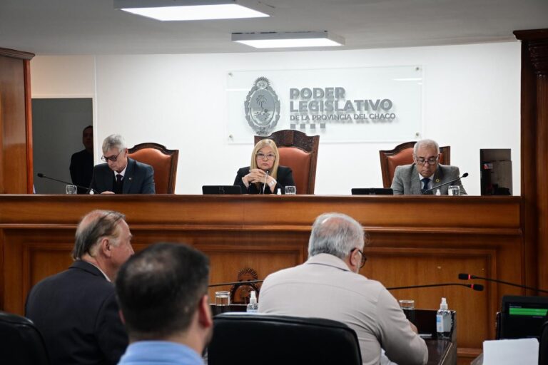 Por unanimidad de los presentes, la Legislatura aprobó la suspensión por un año de las PASO